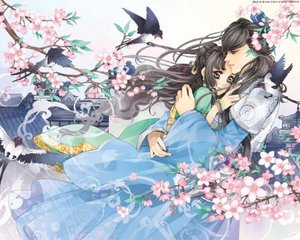 茄子tv防封入口